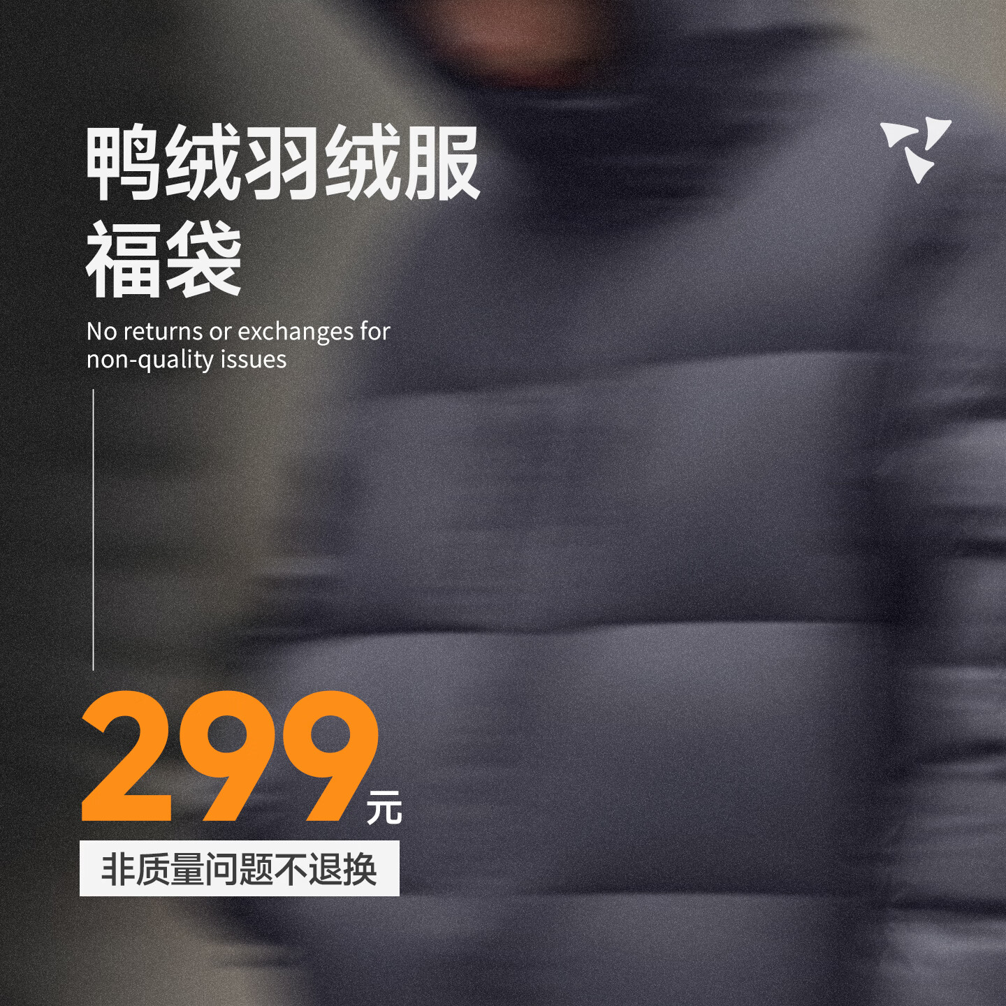 鸭绒羽绒服 L 224元（需用券）