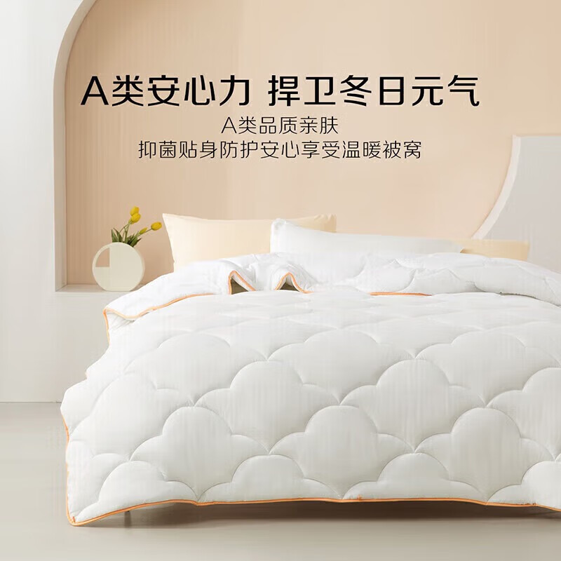 水星家纺 出品百丽丝被子被芯 A类亲肤秋冬保暖加厚被芯七孔纤维透气冬被 冬被白 89元